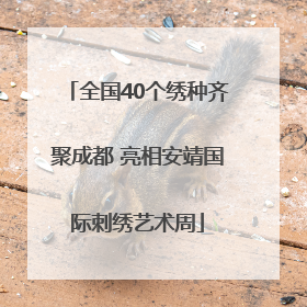 全国40个绣种齐聚成都 亮相安靖国际刺绣艺术周