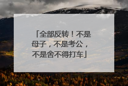 全部反转！不是母子，不是考公，不是舍不得打车