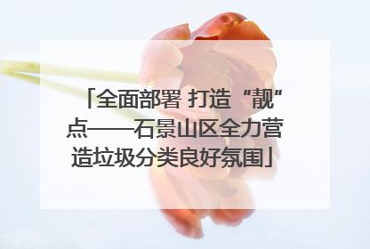 全面部署 打造“靓” 点——石景山区全力营造垃圾分类良好氛围