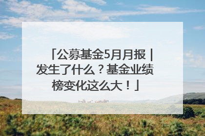 公募基金5月月报｜发生了什么？基金业绩榜变化这么大！