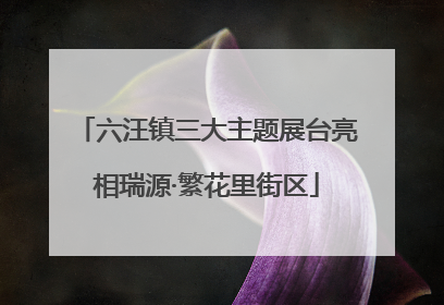 六汪镇三大主题展台亮相瑞源·繁花里街区