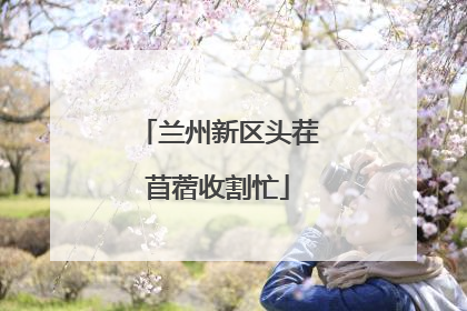 兰州新区头茬苜蓿收割忙