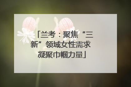 兰考：聚焦“三新”领域女性需求 凝聚巾帼力量