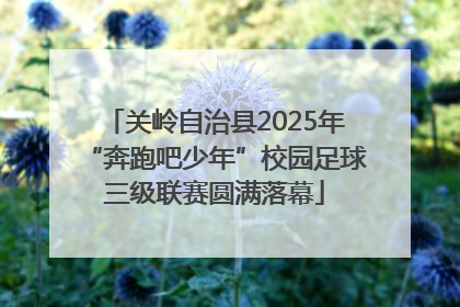 关岭自治县2025年“奔跑吧少年”校园足球三级联赛圆满落幕