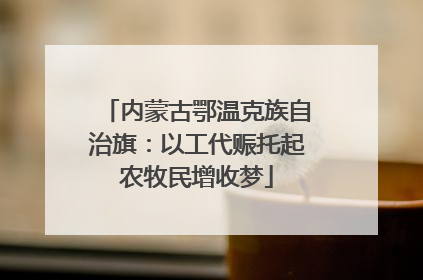 内蒙古鄂温克族自治旗：以工代赈托起农牧民增收梦