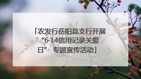 农发行岳阳县支行开展“6·14信用记录关爱日” 专题宣传活动