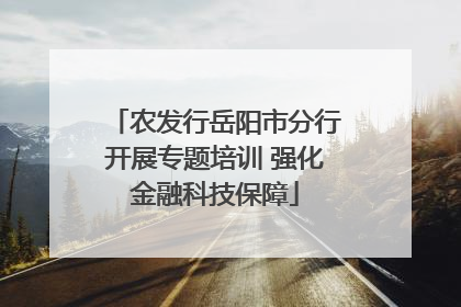 农发行岳阳市分行开展专题培训 强化金融科技保障