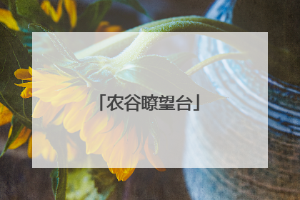 农谷瞭望台