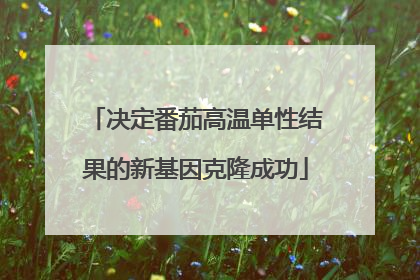 决定番茄高温单性结果的新基因克隆成功