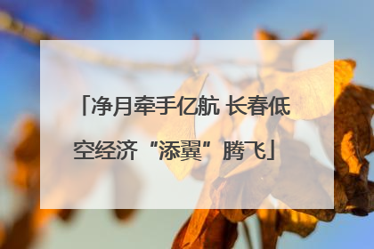 净月牵手亿航 长春低空经济“添翼”腾飞