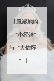 凤溪地的“小经济”与“大情怀”