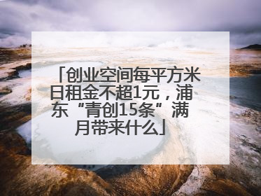 创业空间每平方米日租金不超1元，浦东“青创15条”满月带来什么