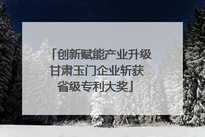 创新赋能产业升级 甘肃玉门企业斩获省级专利大奖