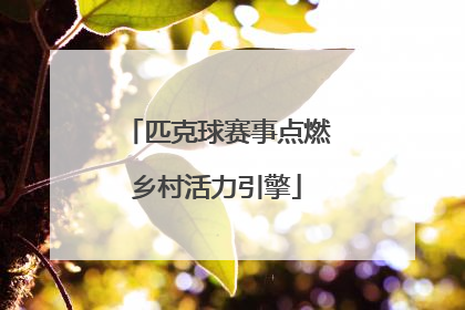 匹克球赛事点燃乡村活力引擎