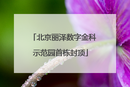 北京丽泽数字金科示范园首栋封顶