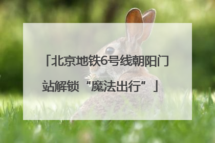 北京地铁6号线朝阳门站解锁“魔法出行”