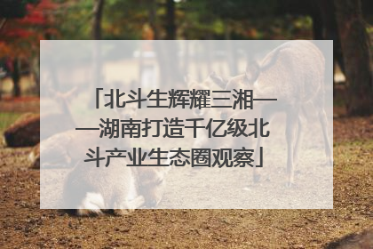 北斗生辉耀三湘——湖南打造千亿级北斗产业生态圈观察