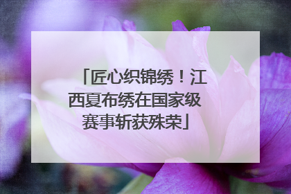 匠心织锦绣！江西夏布绣在国家级赛事斩获殊荣