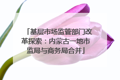 基层市场监管部门改革探索：内蒙古一地市监局与商务局合并