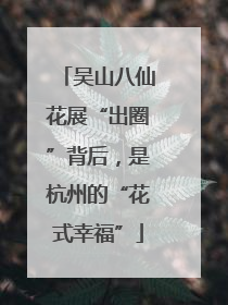 吴山八仙花展“出圈”背后，是杭州的“花式幸福”