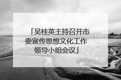 吴桂英主持召开市委宣传思想文化工作领导小组会议