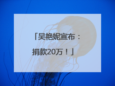 吴艳妮宣布：捐款20万！