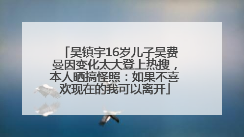 吴镇宇16岁儿子吴费曼因变化太大登上热搜，本人晒搞怪照：如果不喜欢现在的我可以离开