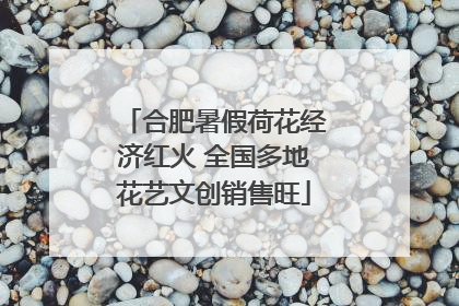 合肥暑假荷花经济红火 全国多地花艺文创销售旺