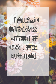 合肥运河新城心湖公园方案正在修改，有望明年开建