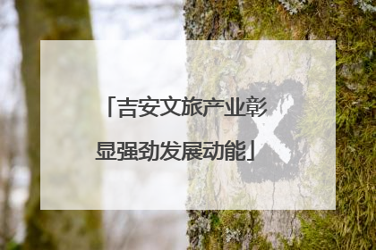 吉安文旅产业彰显强劲发展动能