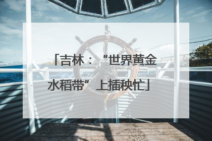 吉林：“世界黄金水稻带”上插秧忙