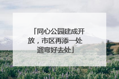 同心公园建成开放，市区再添一处遛弯好去处