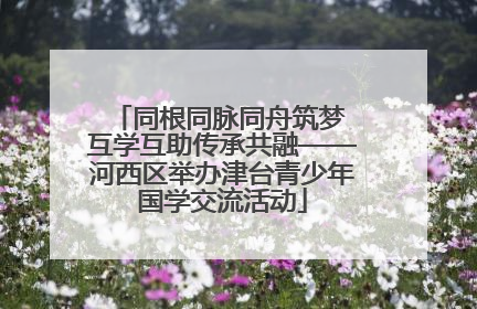 同根同脉同舟筑梦 互学互助传承共融——河西区举办津台青少年国学交流活动