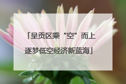 呈贡区乘“空”而上 逐梦低空经济新蓝海