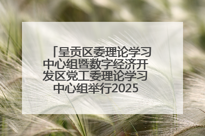 呈贡区委理论学习中心组暨数字经济开发区党工委理论学习中心组举行2025年第七次学习会议