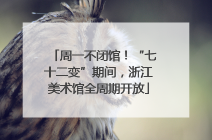 周一不闭馆！“七十二变”期间，浙江美术馆全周期开放
