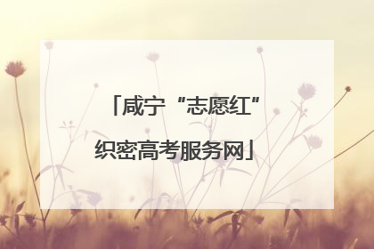 咸宁“志愿红”织密高考服务网