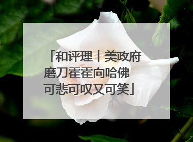 和评理丨美政府磨刀霍霍向哈佛 可悲可叹又可笑