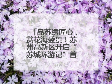 品苏绣匠心,赏花海盛景!苏州高新区开启“苏城环游记”首条非遗主题游