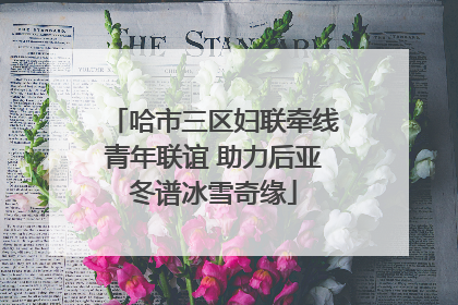 哈市三区妇联牵线青年联谊 助力后亚冬谱冰雪奇缘