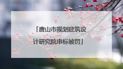 唐山市规划建筑设计研究院串标被罚