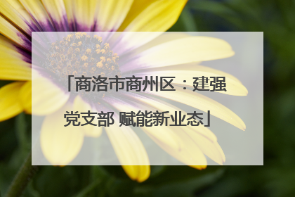 商洛市商州区：建强党支部 赋能新业态