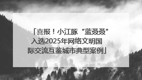 喜报！小江豚“蓝叒叒”入选2025年网络文明国际交流互鉴城市典型案例