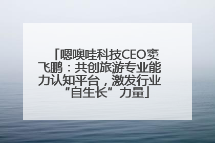 嗯噢哇科技CEO窦飞鹏：共创旅游专业能力认知平台，激发行业“自生长”力量