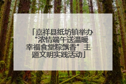 嘉祥县纸坊镇举办“浓情端午送温暖 幸福食堂粽飘香”主题文明实践活动