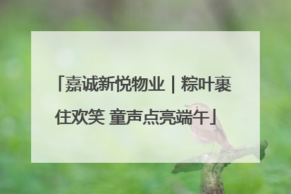 嘉诚新悦物业｜粽叶裹住欢笑 童声点亮端午