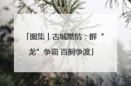 图集丨古城燃情：群“龙”争霸 百舸争渡