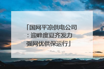 国网平凉供电公司：迎峰度夏齐发力 强网优供保运行