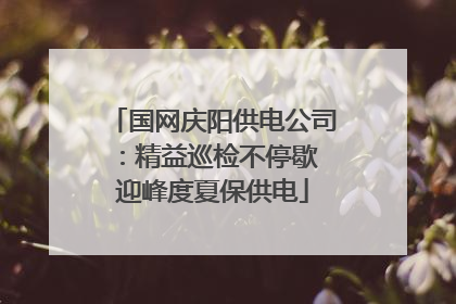 国网庆阳供电公司：精益巡检不停歇 迎峰度夏保供电