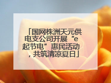 国网株洲天元供电支公司开展“e起节电”惠民活动，共筑清凉夏日